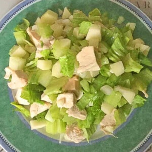 Salade met kipfilet